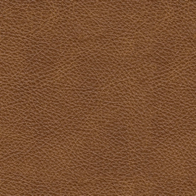 Carianna Sofa - Furniture Gallery