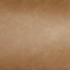 Danvale Pillow (Set of 4) - Furniture Gallery