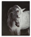 Archerwick Wall Art - Furniture Gallery