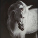 Archerwick Wall Art - Furniture Gallery