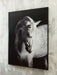 Archerwick Wall Art - Furniture Gallery
