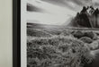 Delstone Wall Art - Furniture Gallery