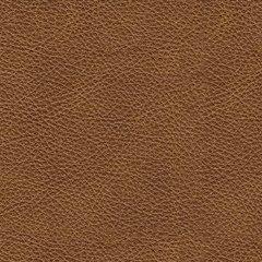 Carianna Sofa Sleeper - Furniture Gallery