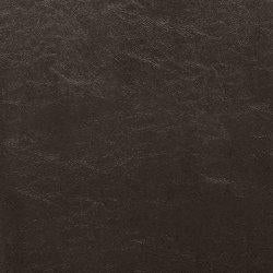 Kimonte Dining Chair - Furniture Gallery